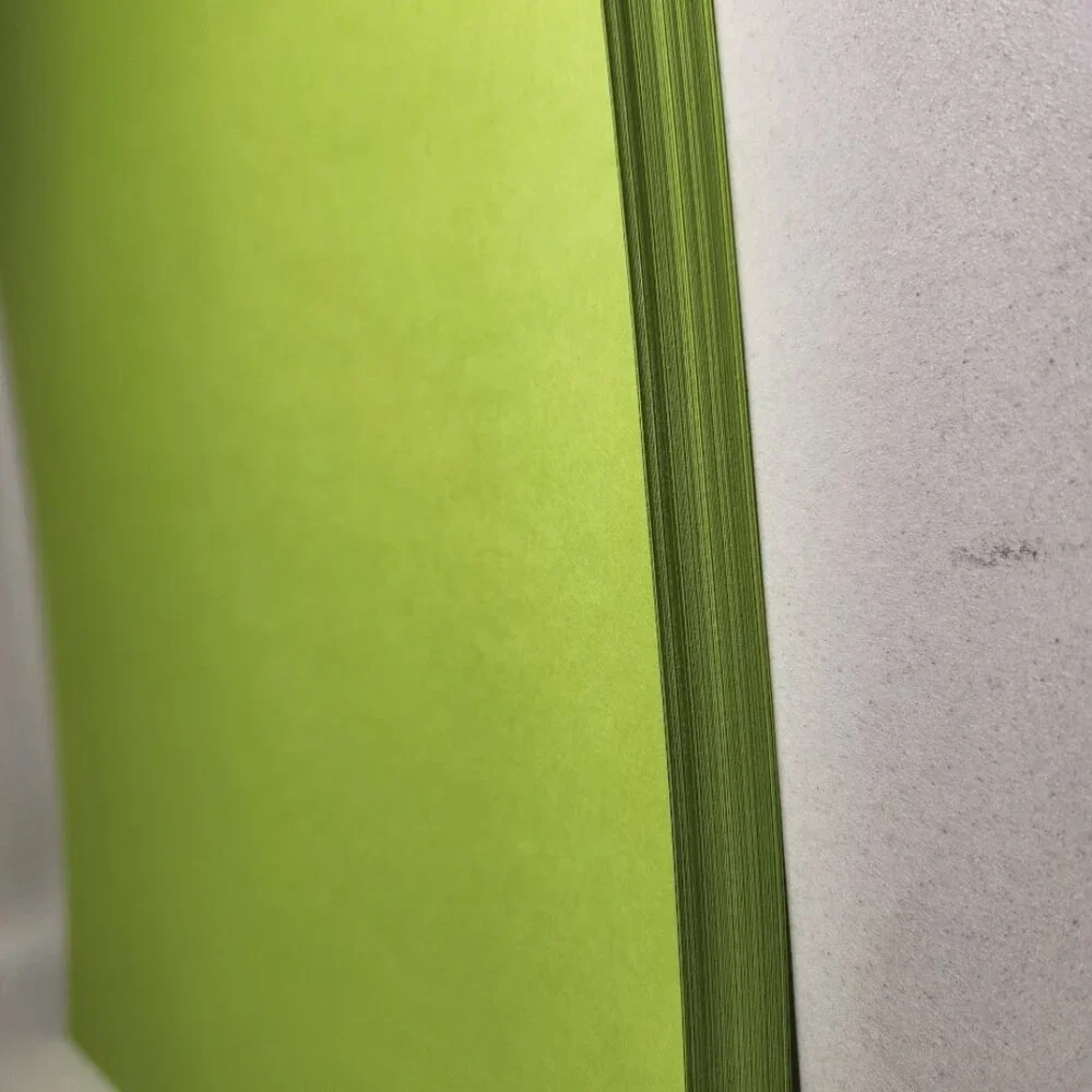 Recollections 64 pages